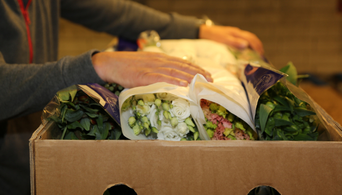 A person (face not seen) is packing bunches of flowers inside a carton getting it ready for shipping.